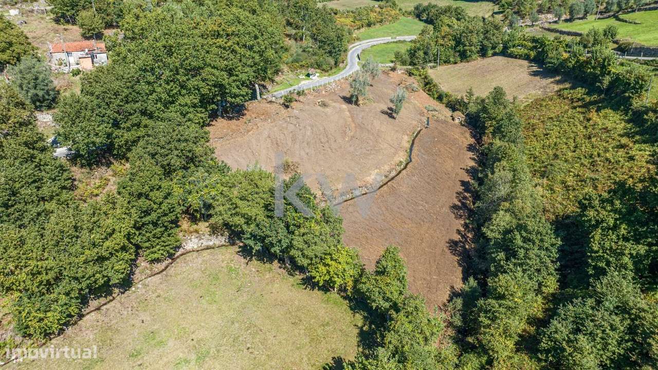 Moinho e dois artigos rústicos com ~10480M2 em Asnela - Cabeceiras de - Grande imagem: 4/16