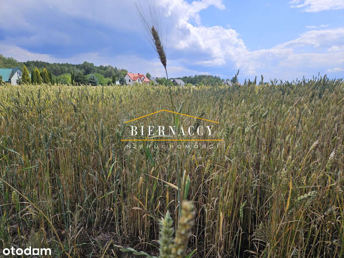 Urocze działki budowlane pod Białymstokiem.-9
