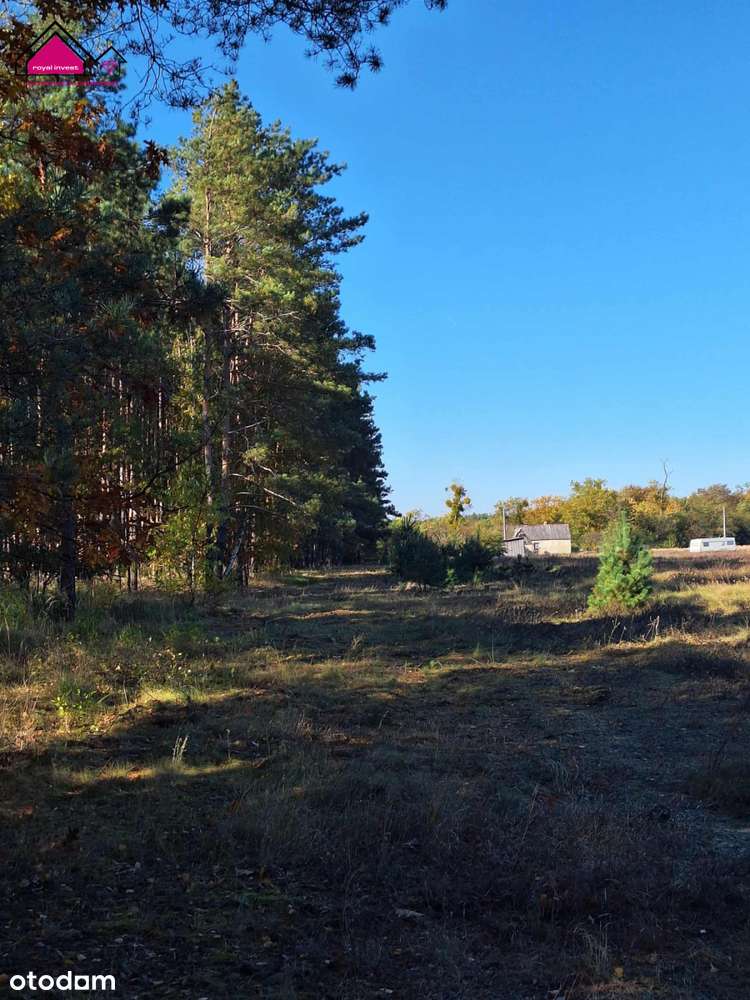 Unikatowa działka dla konesera ciszy i przestrzeni-10