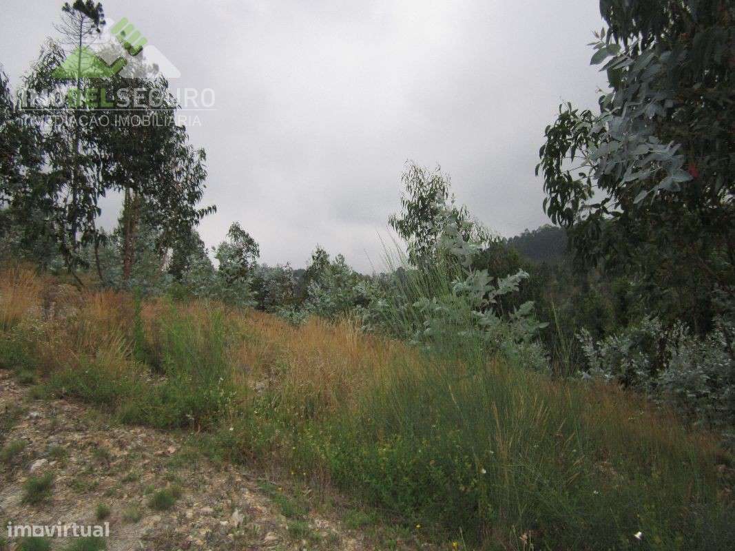 Lotes de Terreno em Canedo (NOVO VALOR) - Grande imagem: 4/11