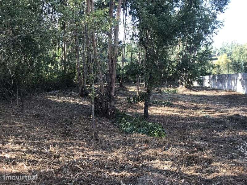 Terreno urbano Sto Varão - Grande imagem: 5/11