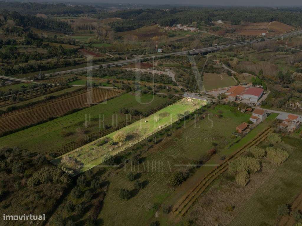 Terreno | Ventosa do Bairro, Mealhada-13