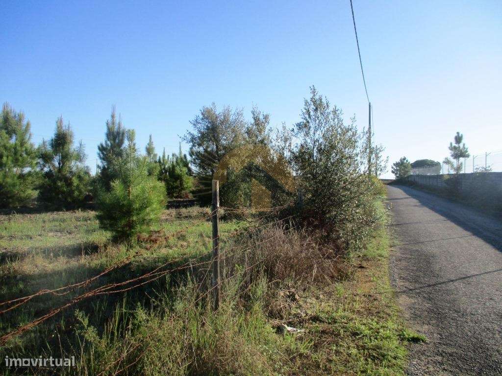 Bombel - Vendas Novas-8