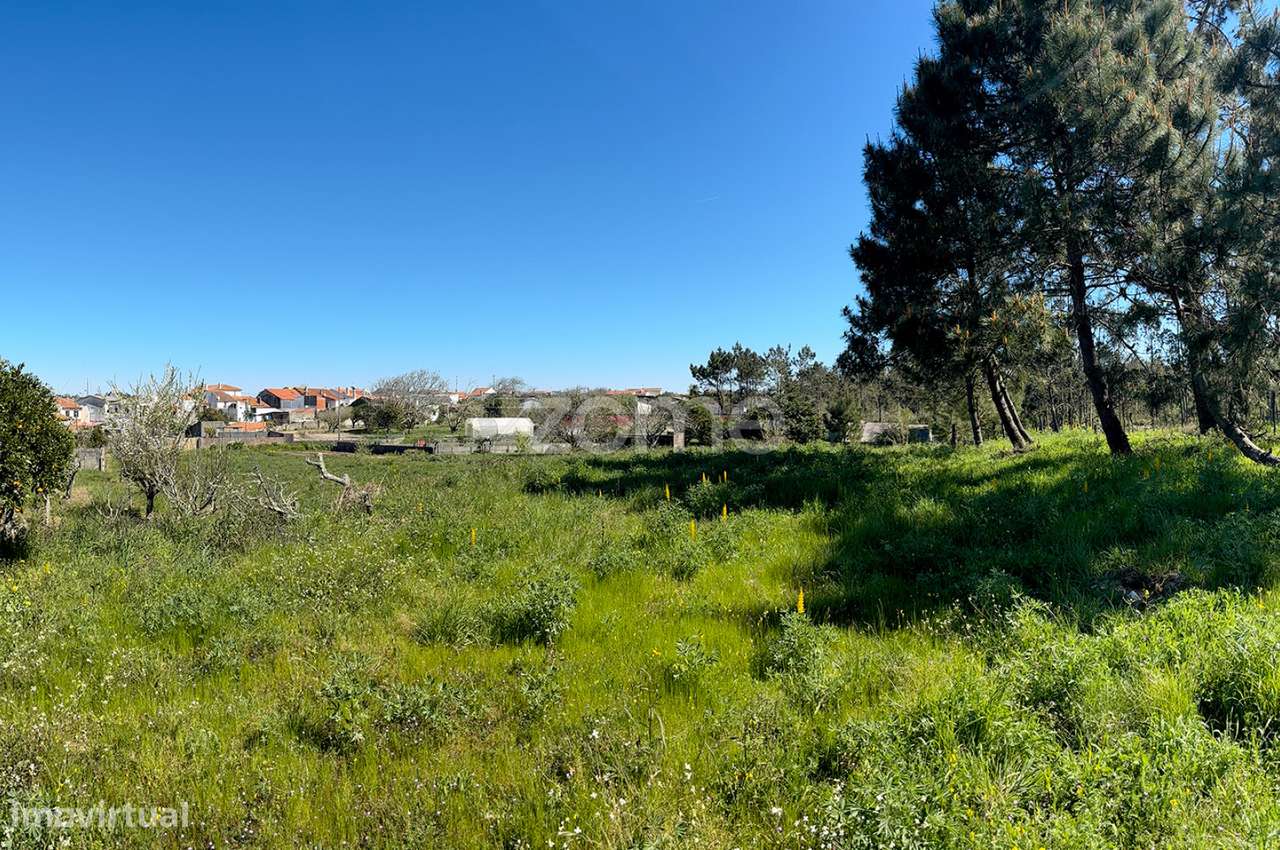 Terreno, 1 884 m², Quiaios - Grande imagem: 5/16