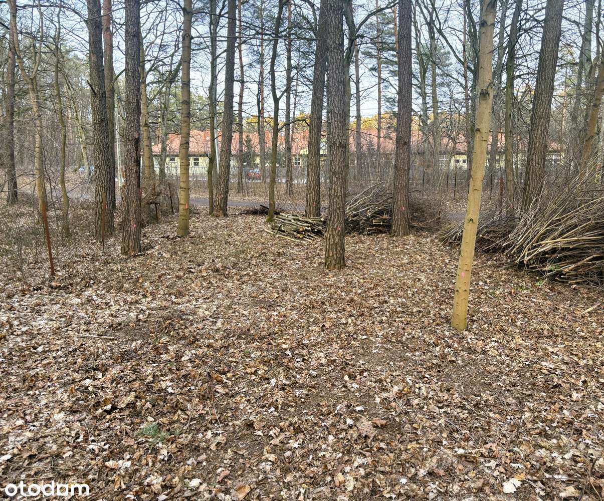 BUDOWLANA leśna działka w samym centrum Zalesia Górnego, przy rondzie - Pełny obrazek: 3/6