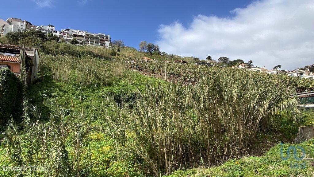 Terreno em Madeira de 5090,00 m2