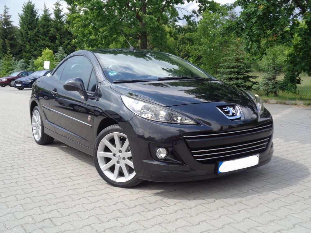 Peugeot 207 FAP 110 (Blue Lion) Roland Garros 2011