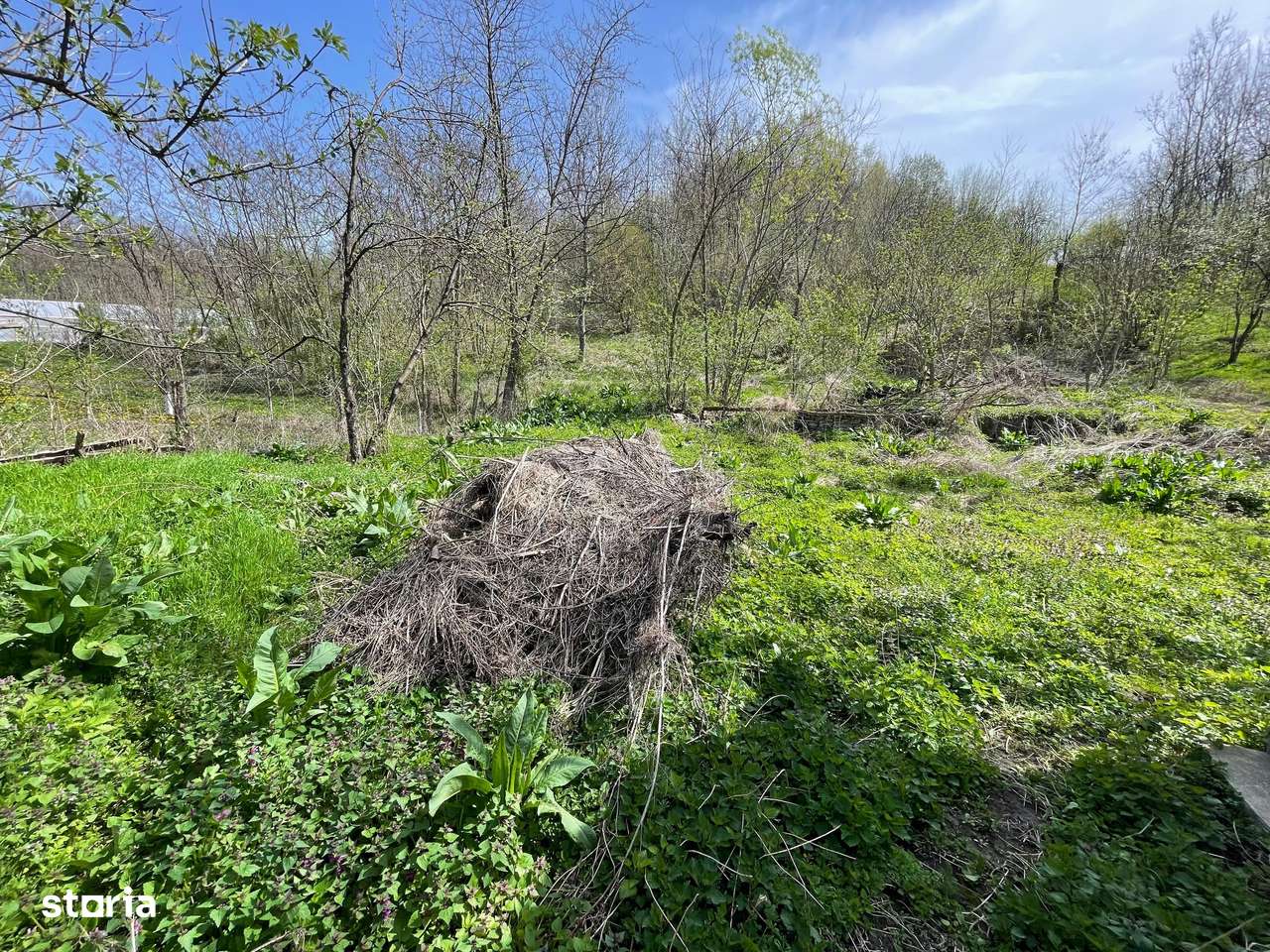 Oportunitate de Investiție în Slănic Prahova-4