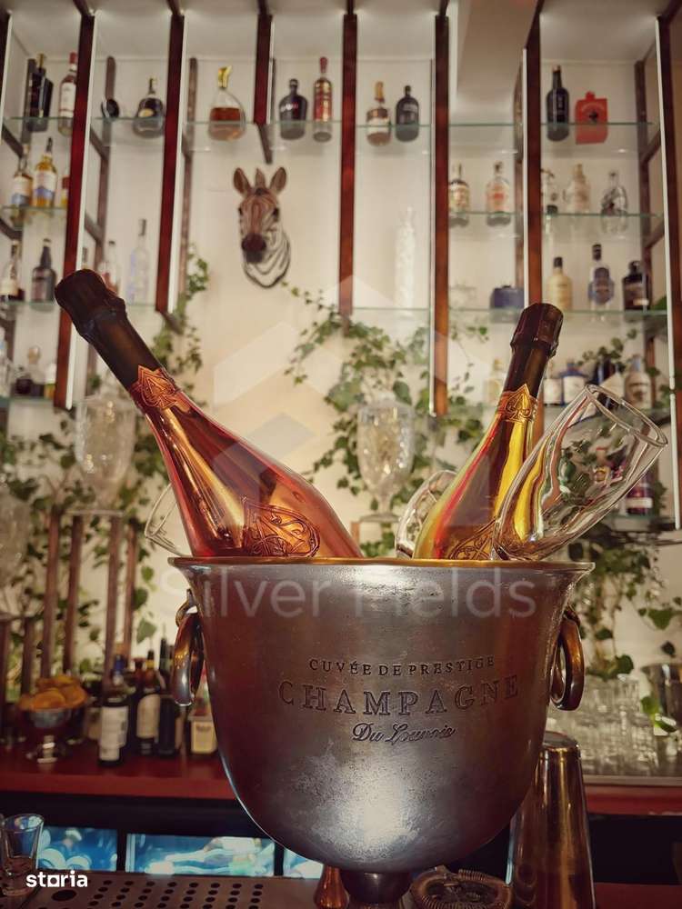 Se vinde sau închiriază Bar-Restaurant la cheie | Piata Unirii-14
