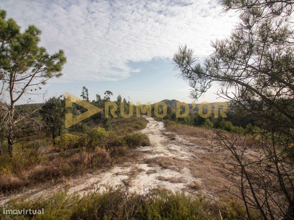 Moinho em Surraipas, Pocariça-2