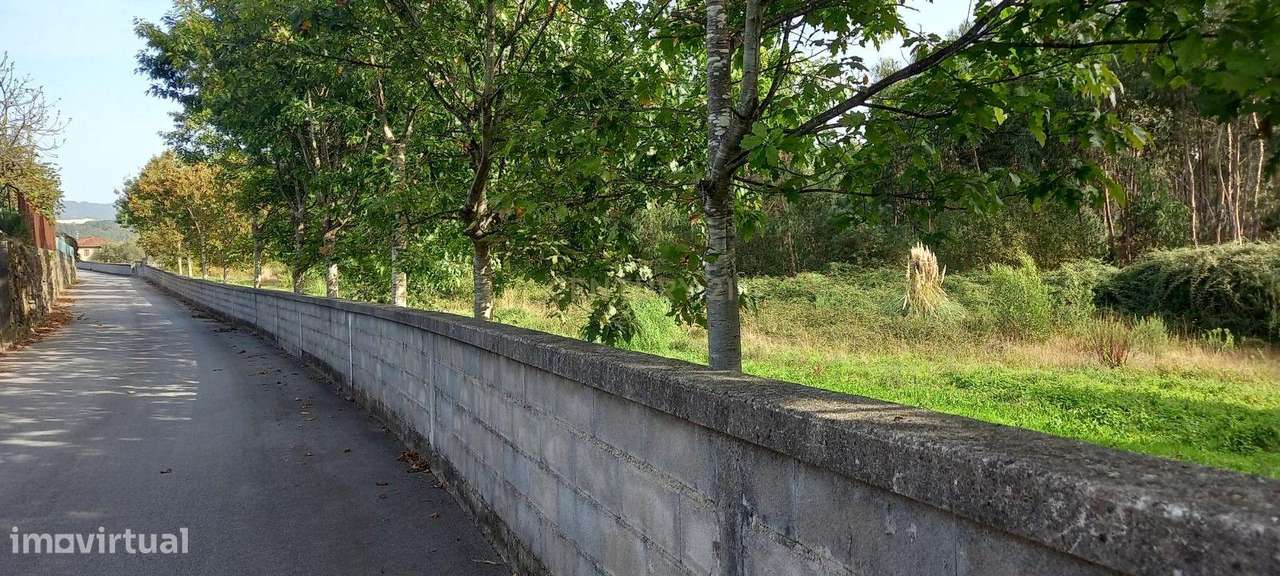 Terreno com 23.000 m2 em Igreja Nova - Barcelos - Grande imagem: 4/17
