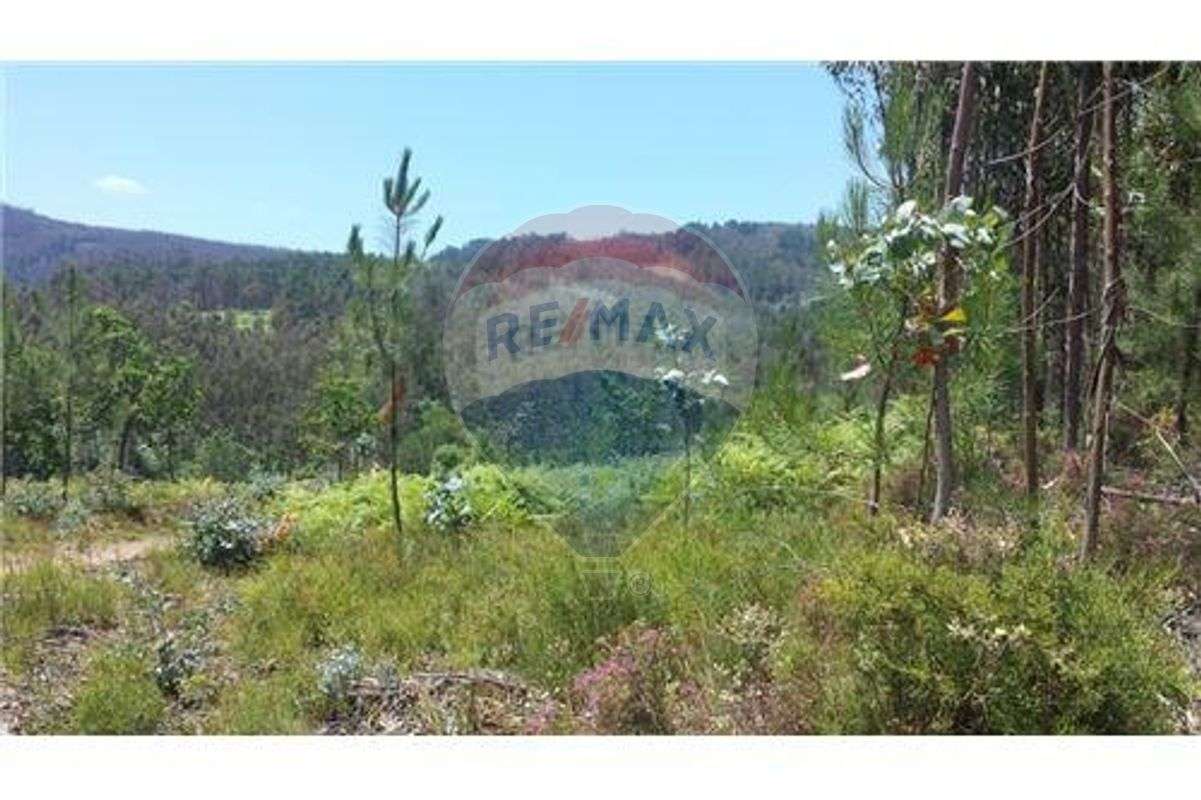 Terreno  para venda - Grande imagem: 4/4