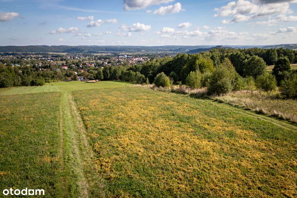 Trzy widokowe działki z warunkami zabudowy | Dynów - Pełny obrazek: 5/13