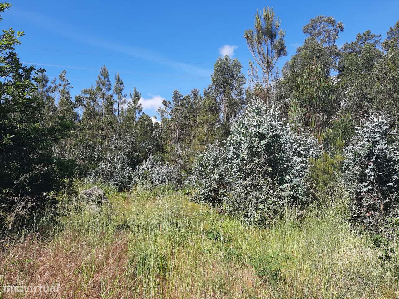 Terreno para construção da sua moradia de sonho Bustelo Penafiel-7