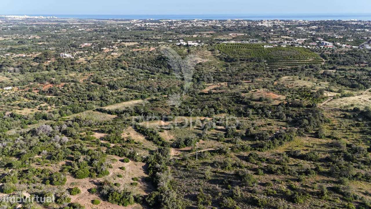 RUINA INSERIDA EM TERRENO COM 4,65 HECTARES COM VISTA PARA O MAR - Grande imagem: 5/6