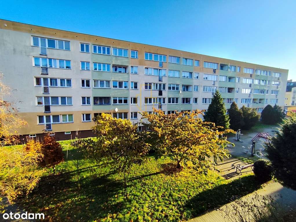 Na sprzedaż 2-pok do Remontu z balkonem/rozkład - Pełny obrazek: 3/16