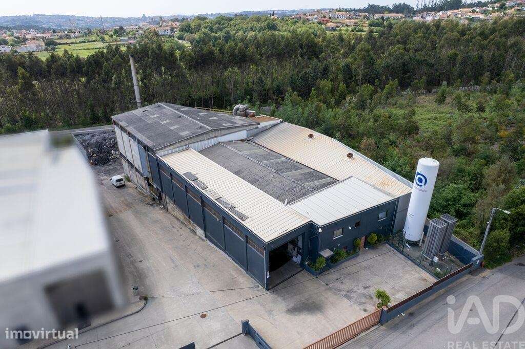 Armazém em Nogueira do Cravo e Pindelo de 1606,00 m2 - Grande imagem: 2/14