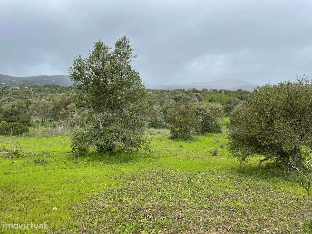 Terreno Rustico em torre Apra- Loule - Grande imagem: 3/13
