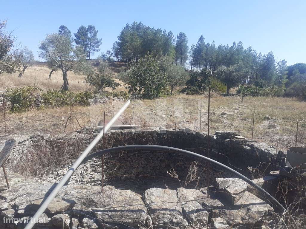 Terreno Rústico com 7500m2 de área - Grande imagem: 5/16