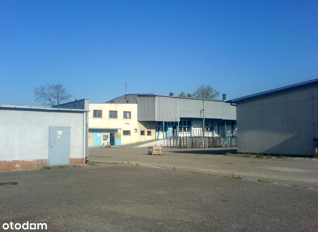 Zakład produkcyjny z chłodnią i linią produkcyjną soków Cheer Pack - Pełny obrazek: 4/20