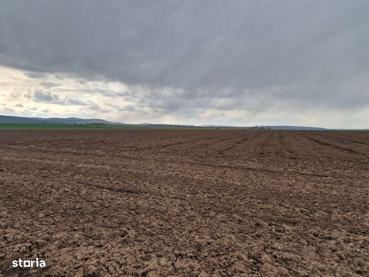 Teren 10,000mp Bacau / Strada Alexandru Safran-13