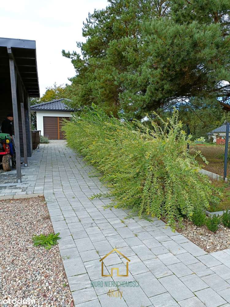 Strzebielino, działka 2034m2 z domkiem całorocznym-6