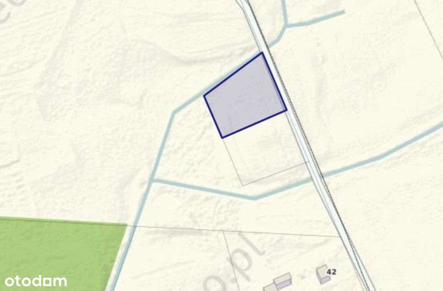 Działka z WZ Borsukówka gm. Dobrzyniewo Duże - Pełny obrazek: 5/5