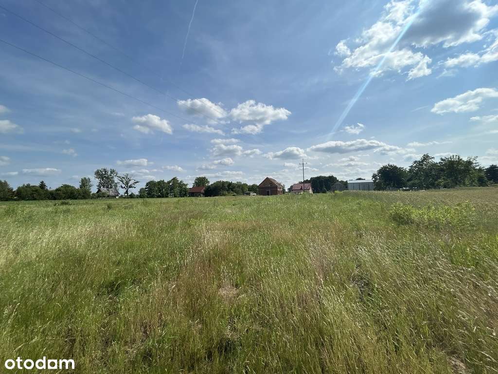 Piękna działka, Dobra, Gmina Dobroszyce-5