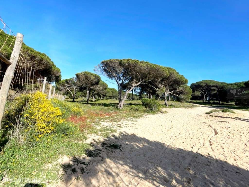 Terreno Misto com 10,4 ha em Vale Carro de Baixo, Albufeira-5
