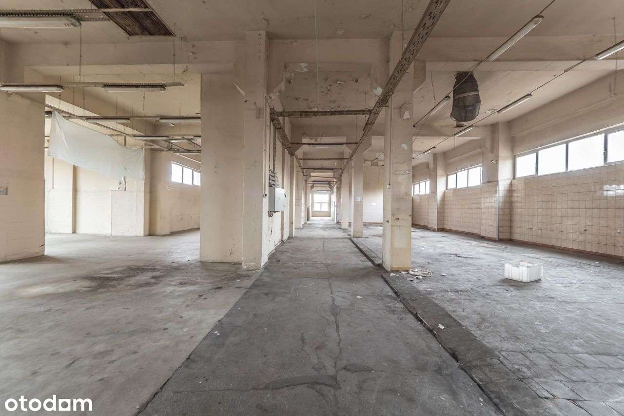 700 m2 | Produkcja | Magazyn | Warsztat - Pełny obrazek: 4/10