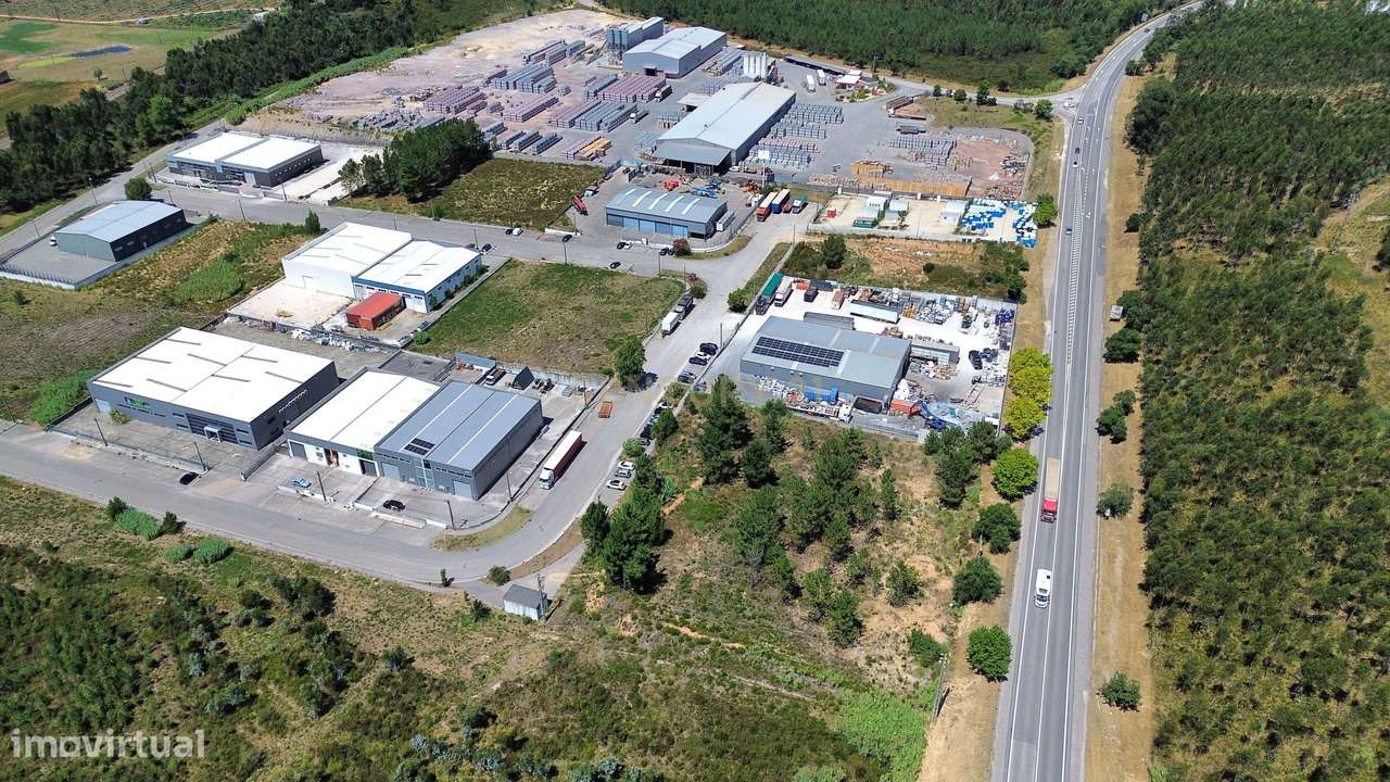 Terreno Urbano em Pelariga, Pombal - 6048m² com Viabilidade - Grande imagem: 2/15