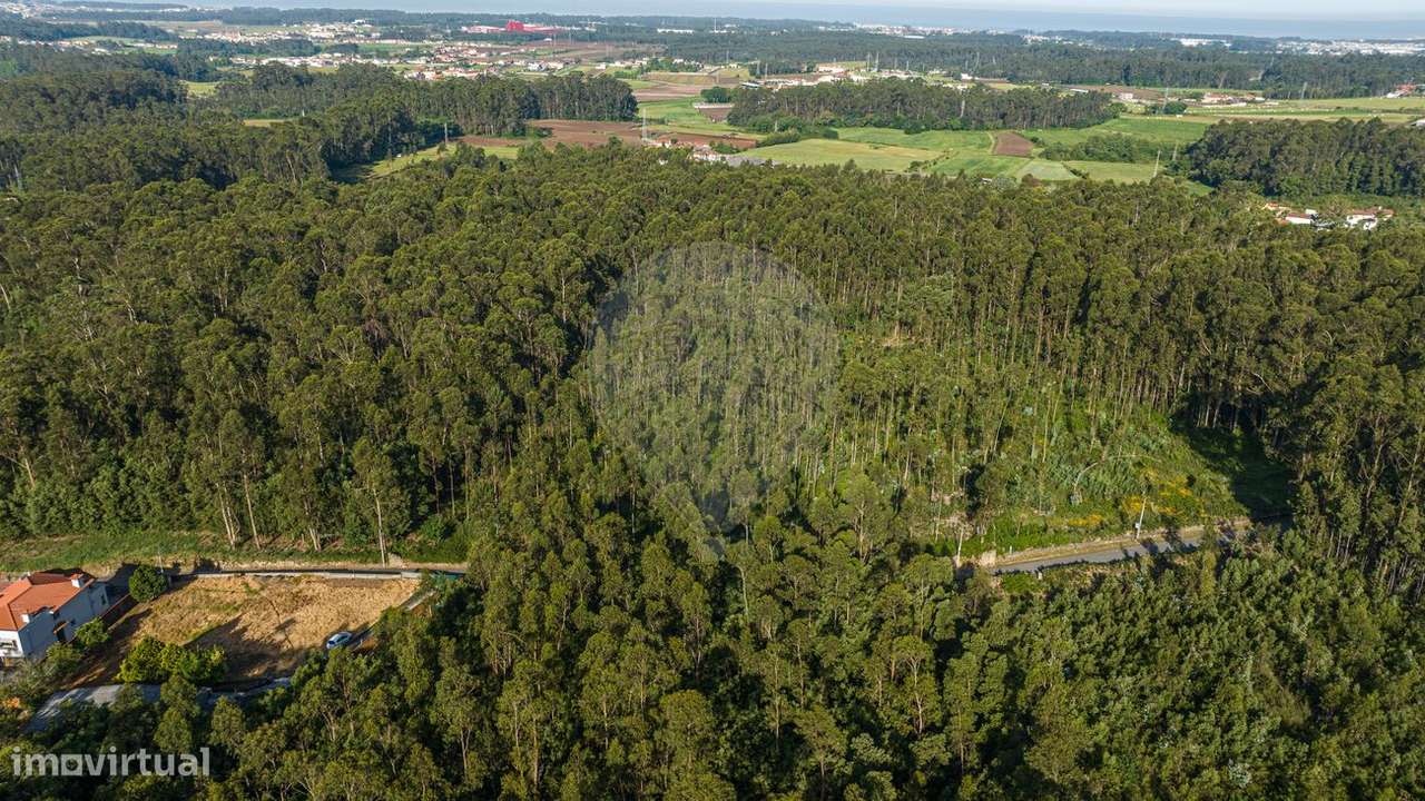 Terreno  para venda - Grande imagem: 5/14