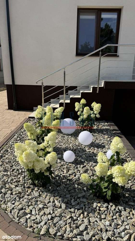 Piaseczno Pomorska - 2 połówki bliźniaka-17