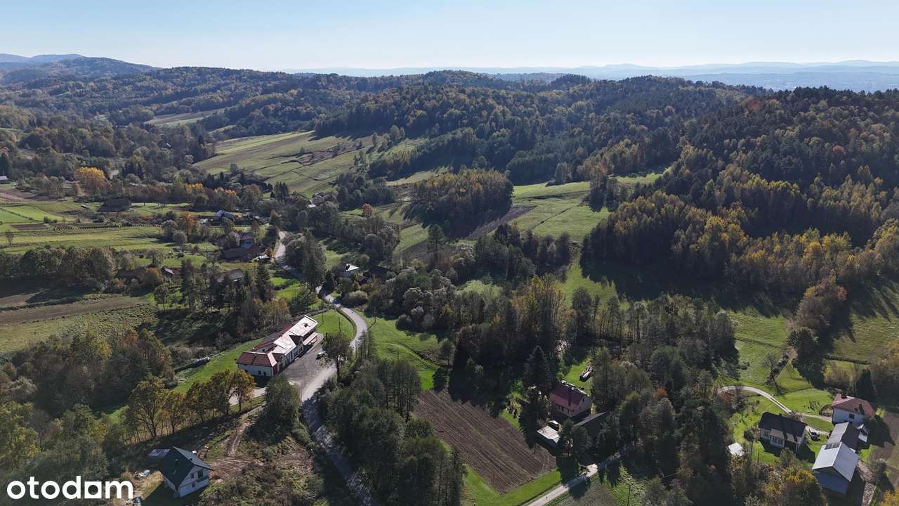 Pietrusza Wola – działka z WZ na 2 domy, media na działce-3