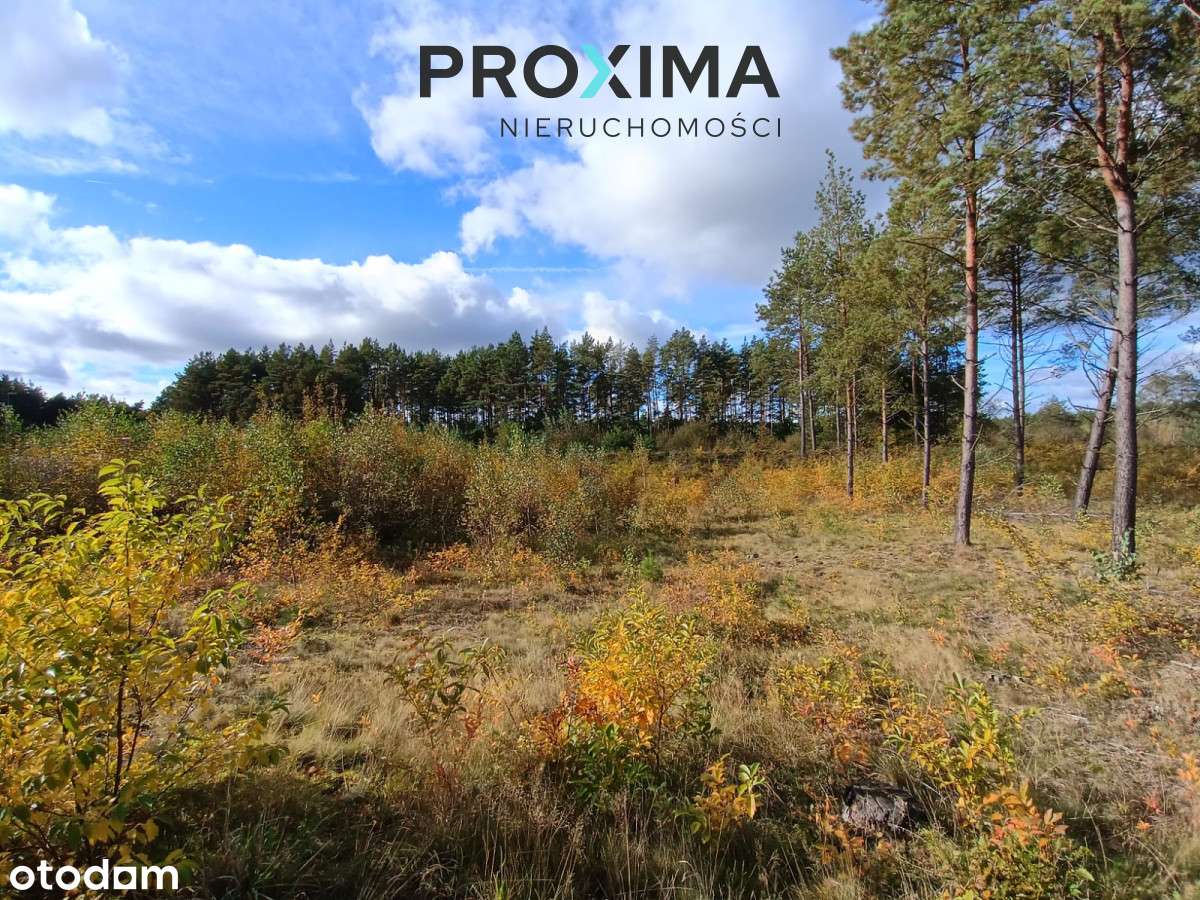 Działka Inwestycyjna – Dąbrówka, Gmina Luzino, Pow-7