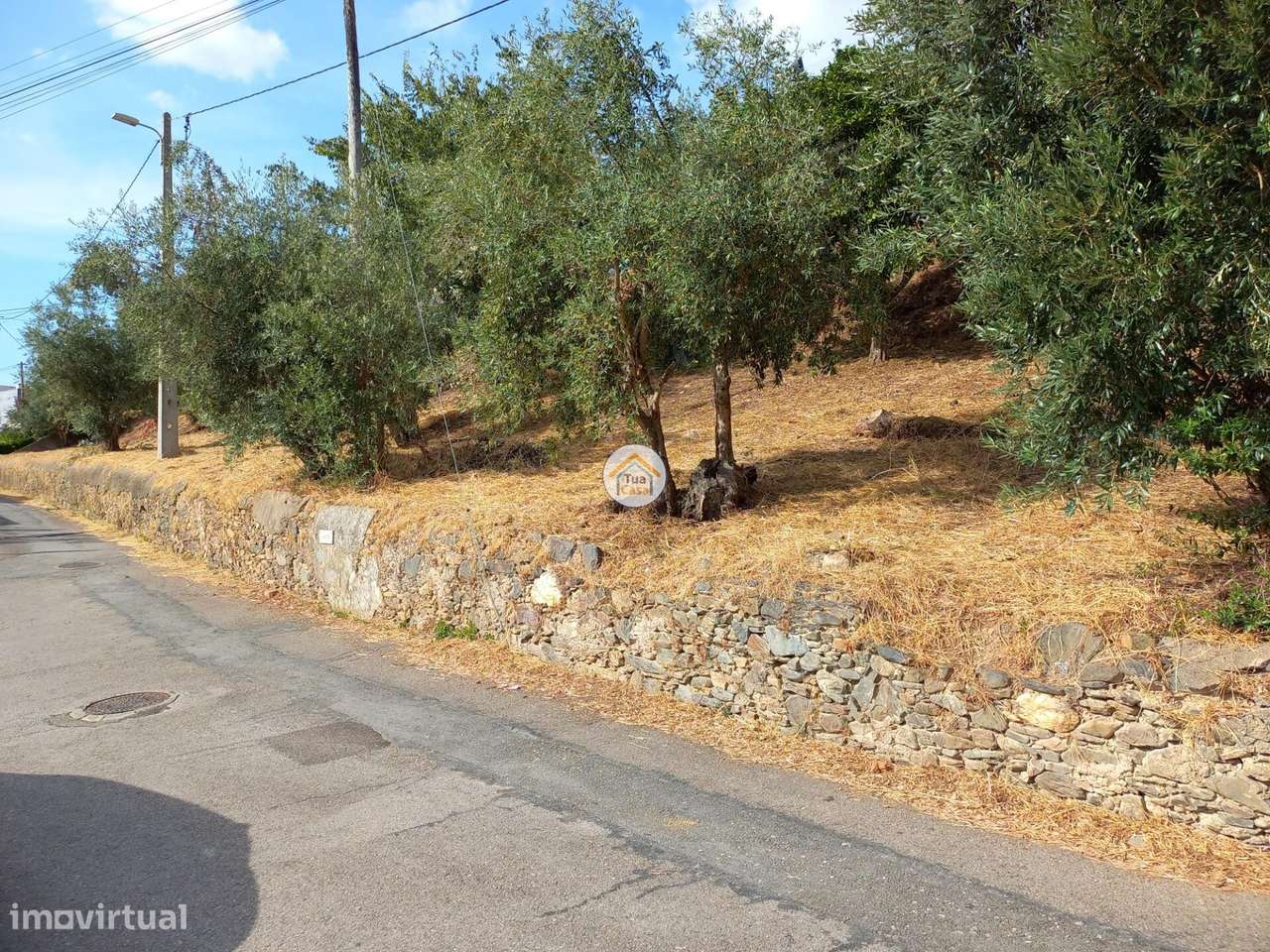 Terreno inserido no aglomerado urbano com viabilidade de construção-5