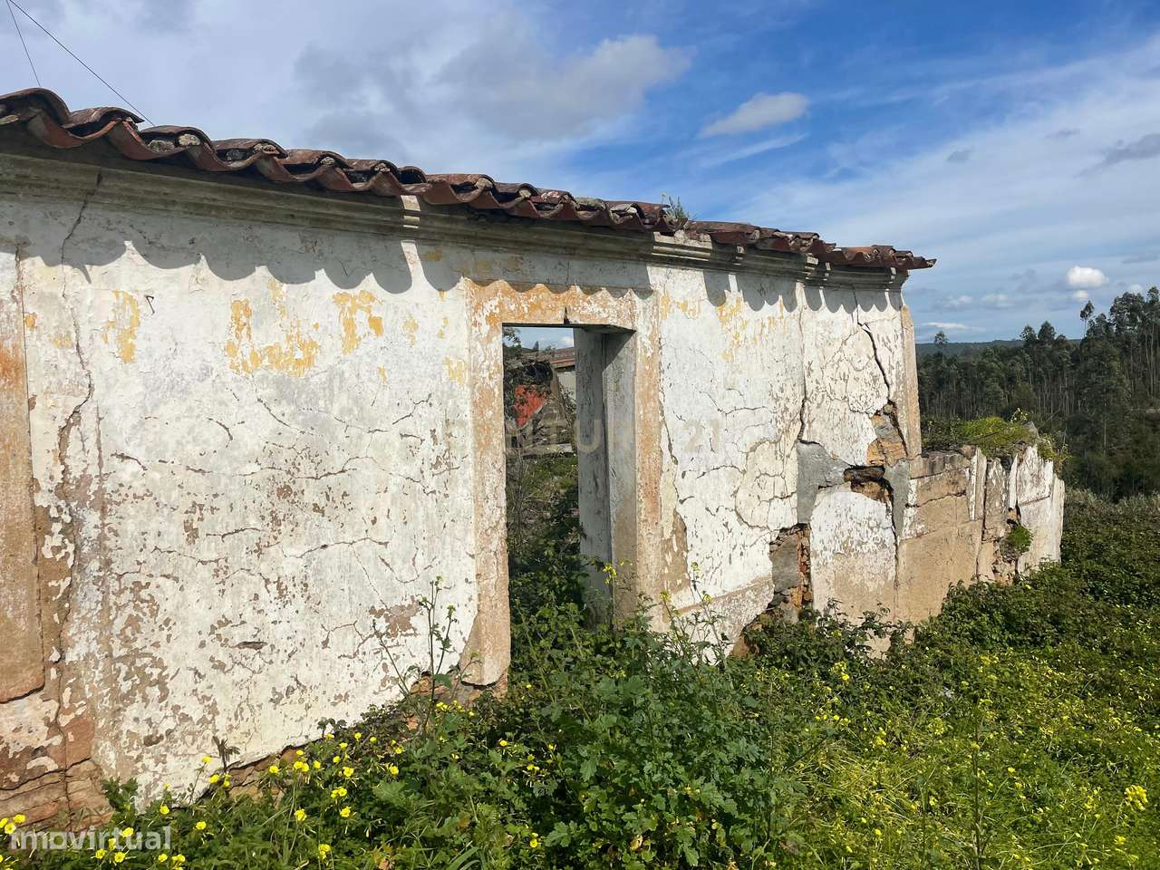 Terreno para Recuperação em Carvalhal, Abrantes - Grande imagem: 3/8