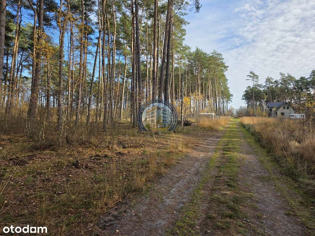 Działka w lesie, pod dom 900 m od plaży-9