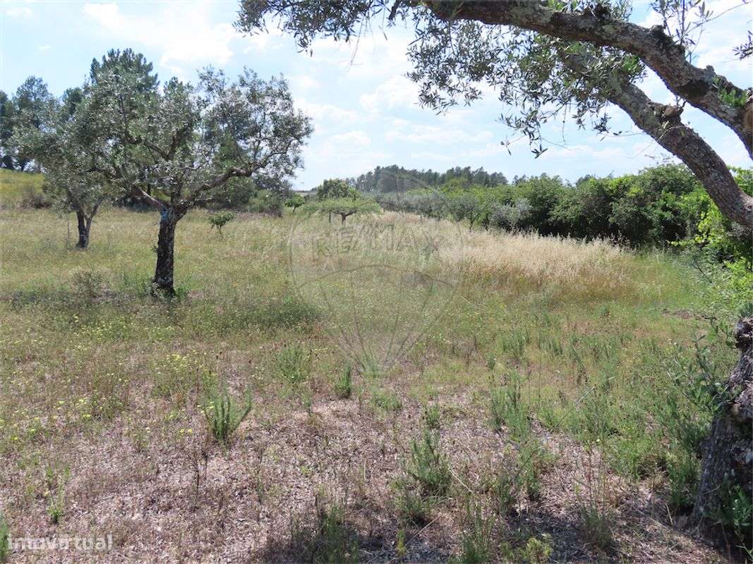 Quinta  para venda - Grande imagem: 4/13