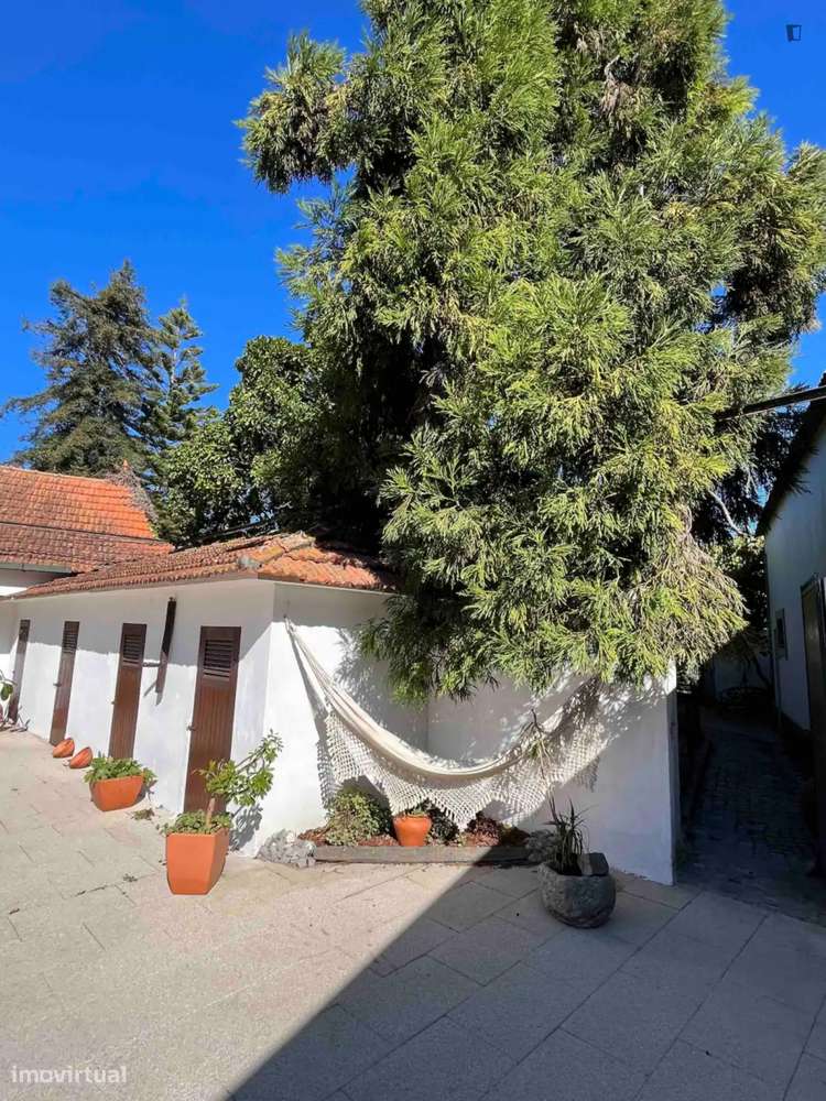 Casa com 2 quartos - localizado em Aveiro - Grande imagem: 2/10