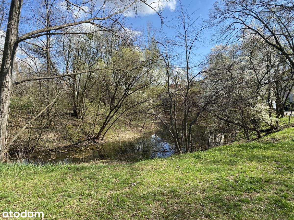 Niezabudowana działka na Sadybie - Pełny obrazek: 5/11