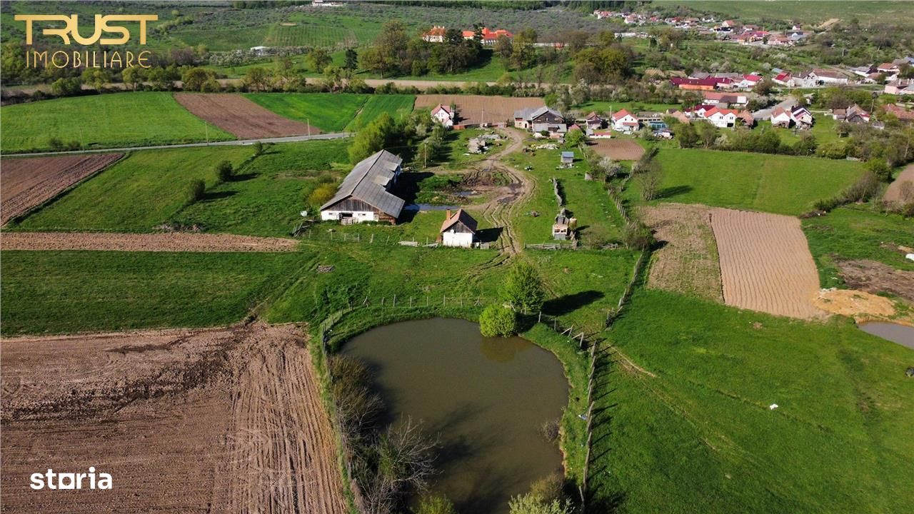 Ferma de vanzare, teren, constructii, saivan, lac