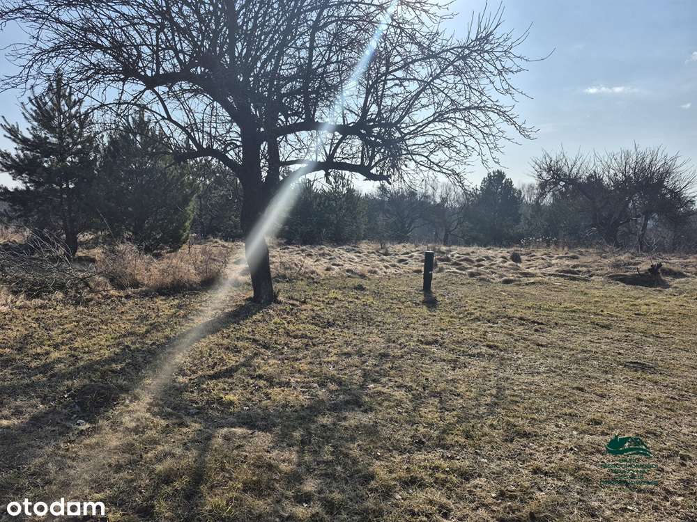 Działka 1563m2 z warunkami zabudowy Zgoda Aleksandrów Kujawski-0