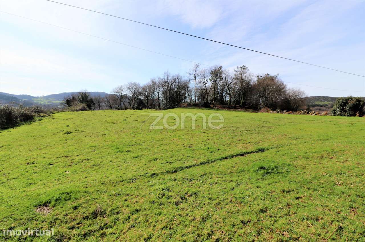 Terreno em casais de vide - Aboim da - Vila Verde - Grande imagem: 5/8