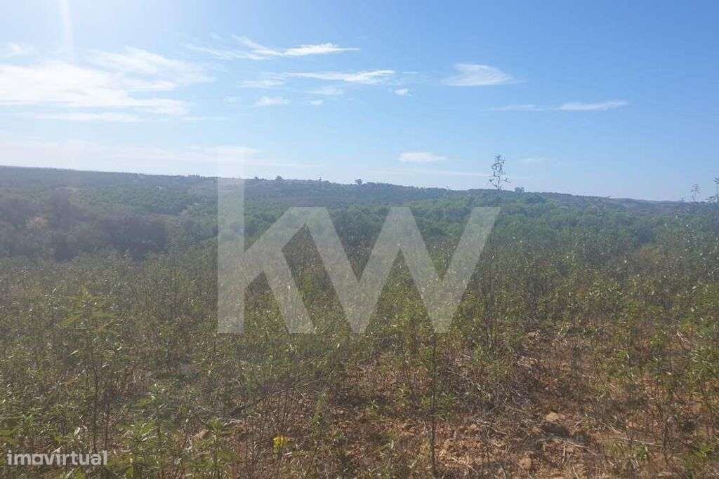 Terreno rústico para venda em Castro Marim- Azinhal - Grande imagem: 5/10