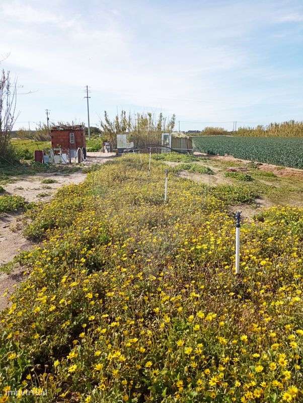 Terreno  para venda - Grande imagem: 2/6