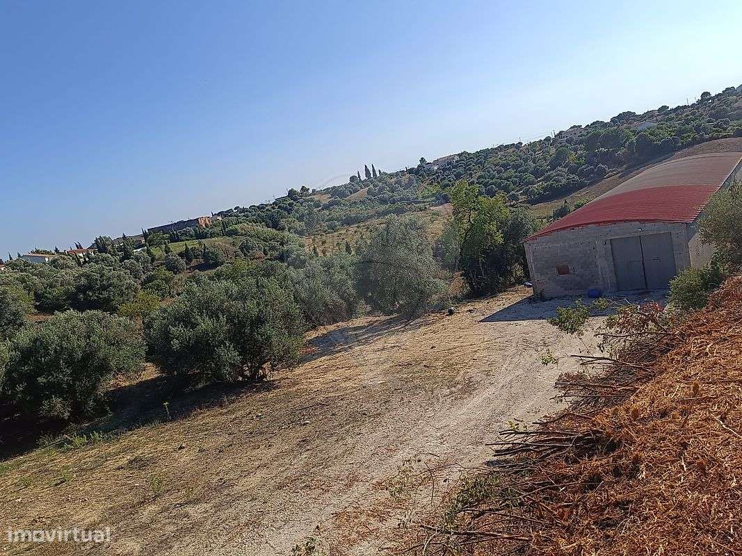 Armazém  para venda - Grande imagem: 4/5