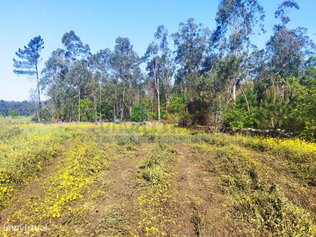 Terreno de construção em Fradelos-Vila Nova de Famalicão - Grande imagem: 4/11