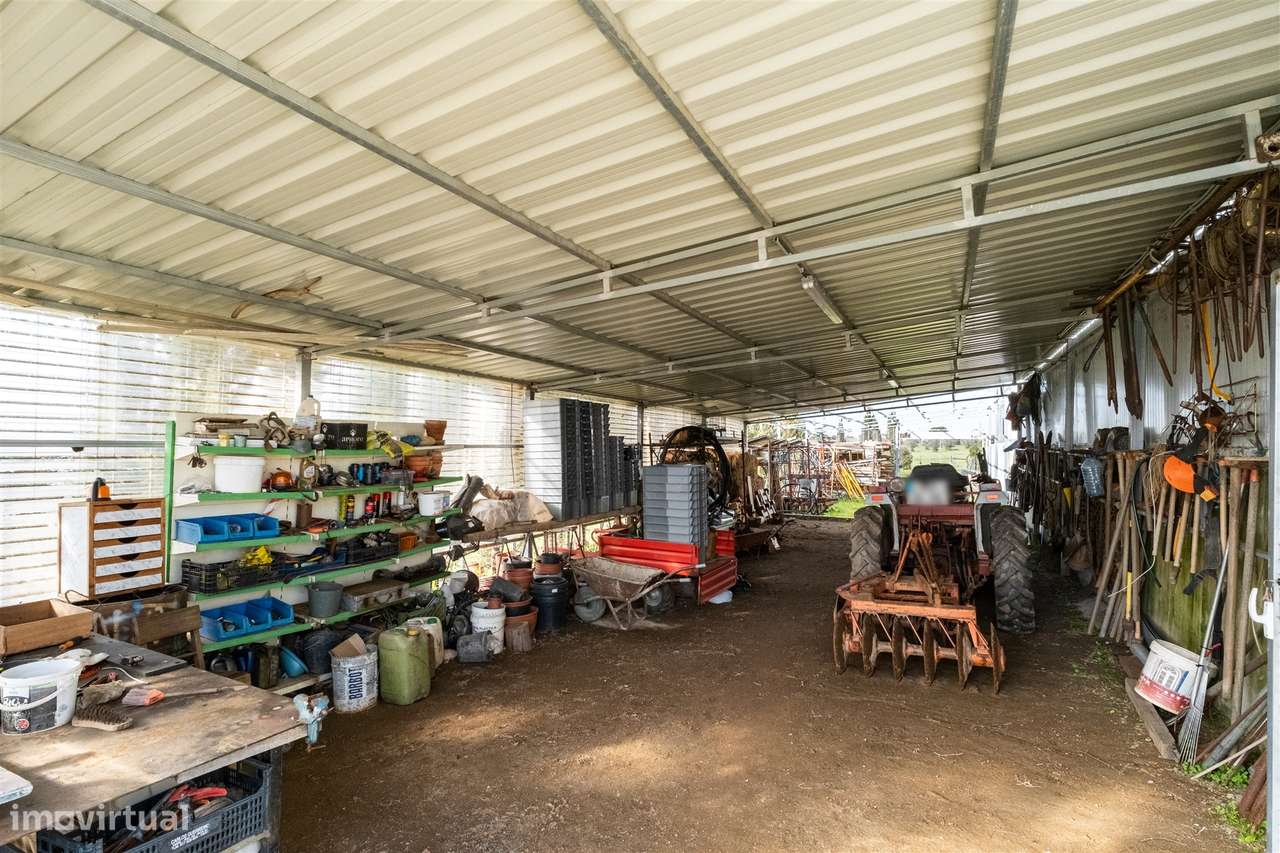 Quinta Biológica - Monte de Palma em Sao Manços com negócio.-28