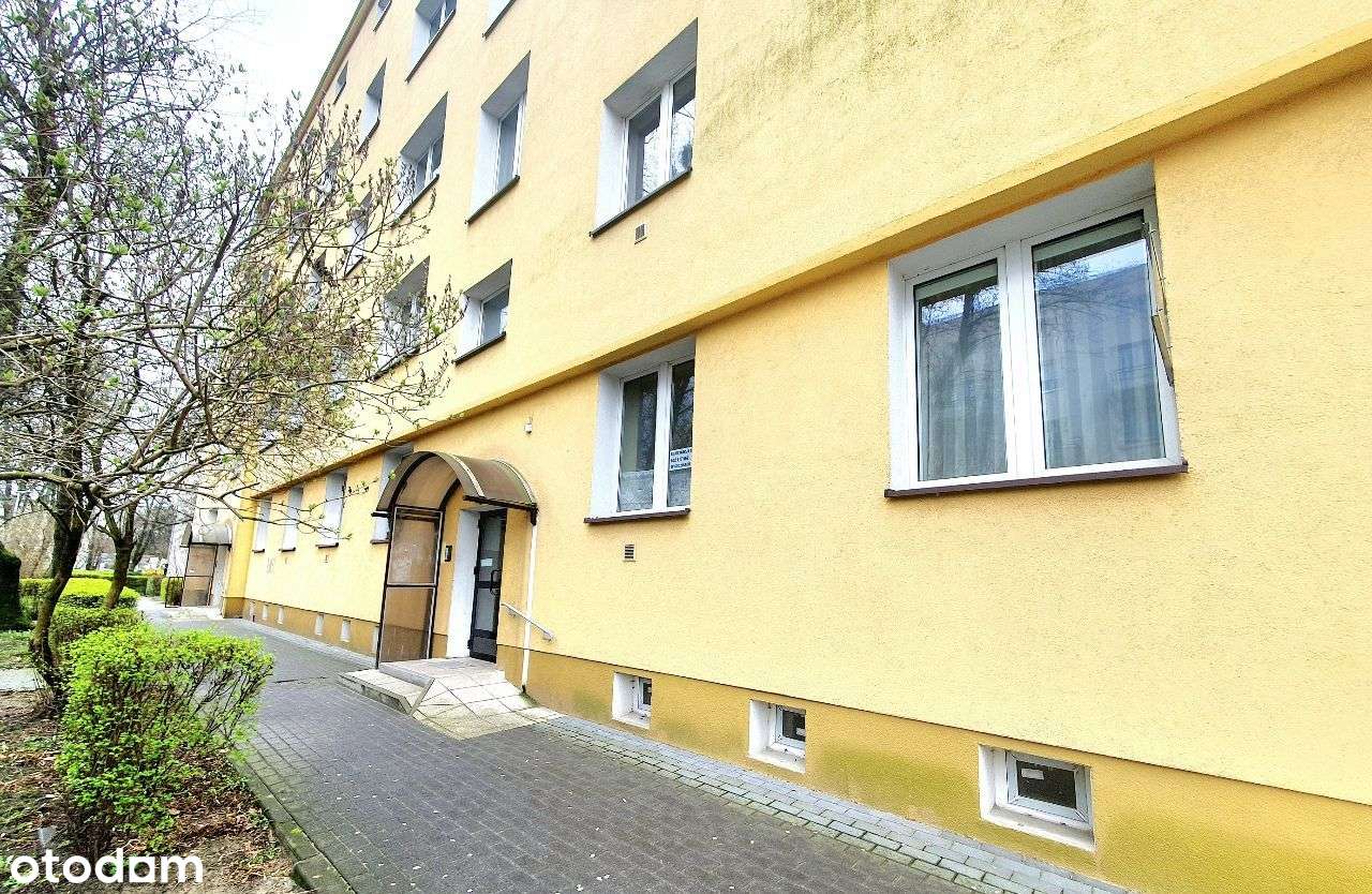 Idealne! obok starówki; 2 duże pokoje, osobna kuchnia, niski blok-13